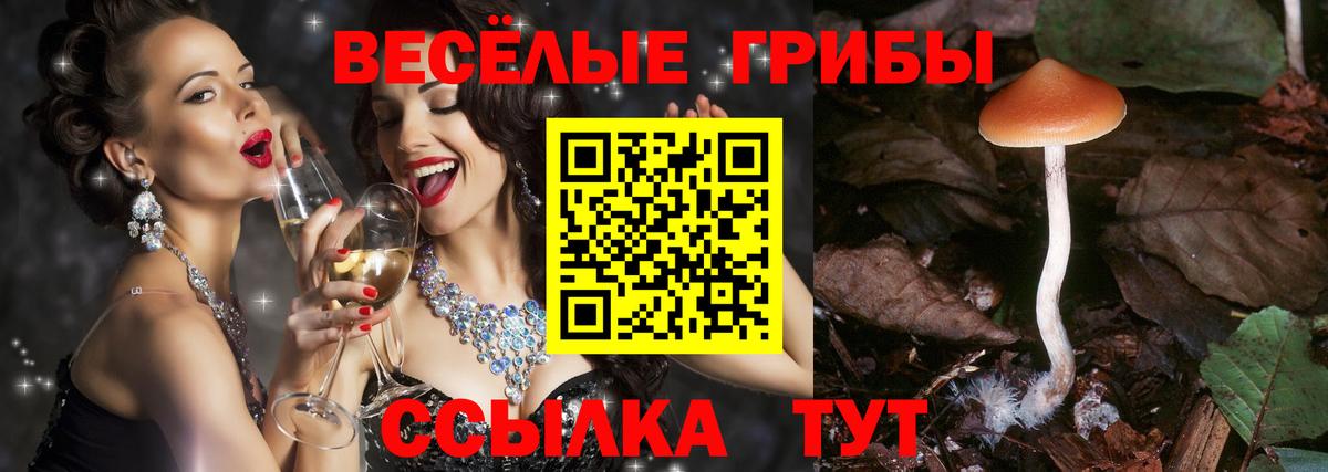 Псилоцибиновые грибы прущие грибы Воркута